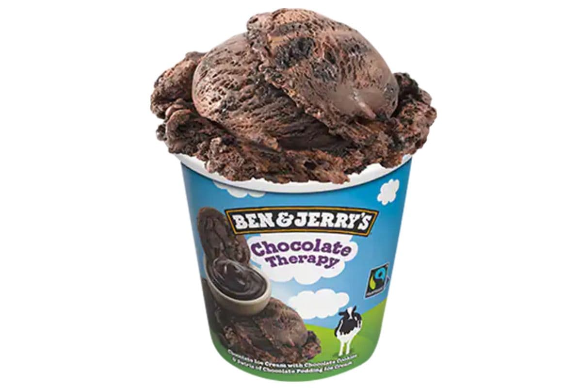 Ben & Jerry's Chocolate Therapy® (473 ml)