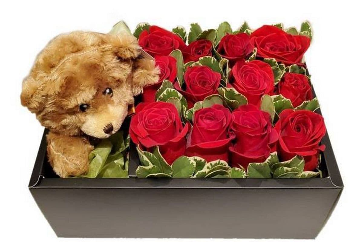 Bear Box