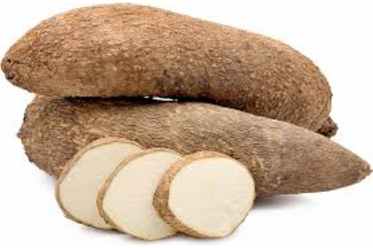 White Yam