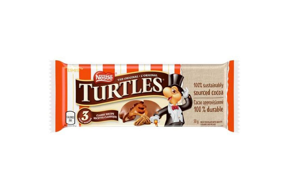 Turtles (Regular Size)