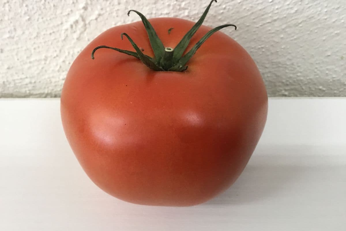 Tomato (Conventional) (Each)