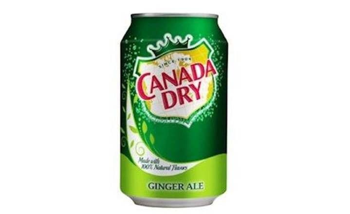 Canada Dry Ginger Can / Canada Dry Ginger canette