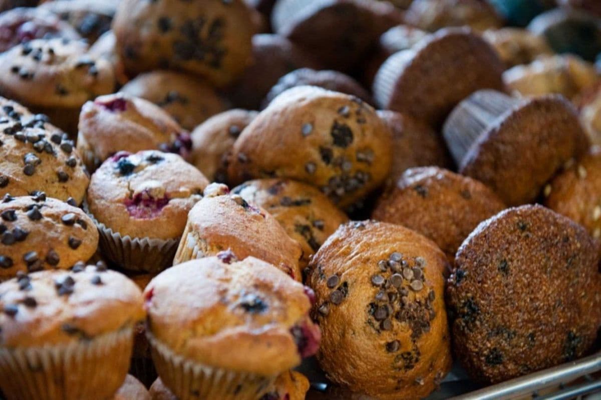 Carrot Muffin