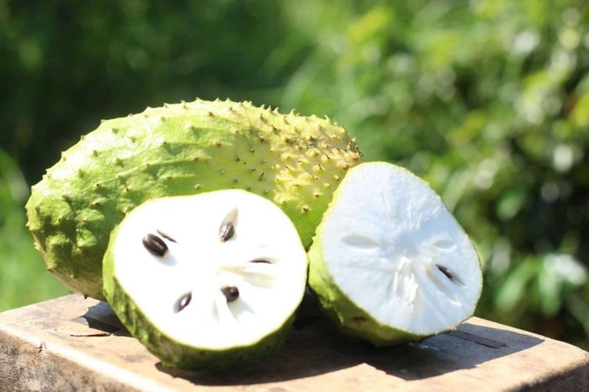 Soursop Smoothie
