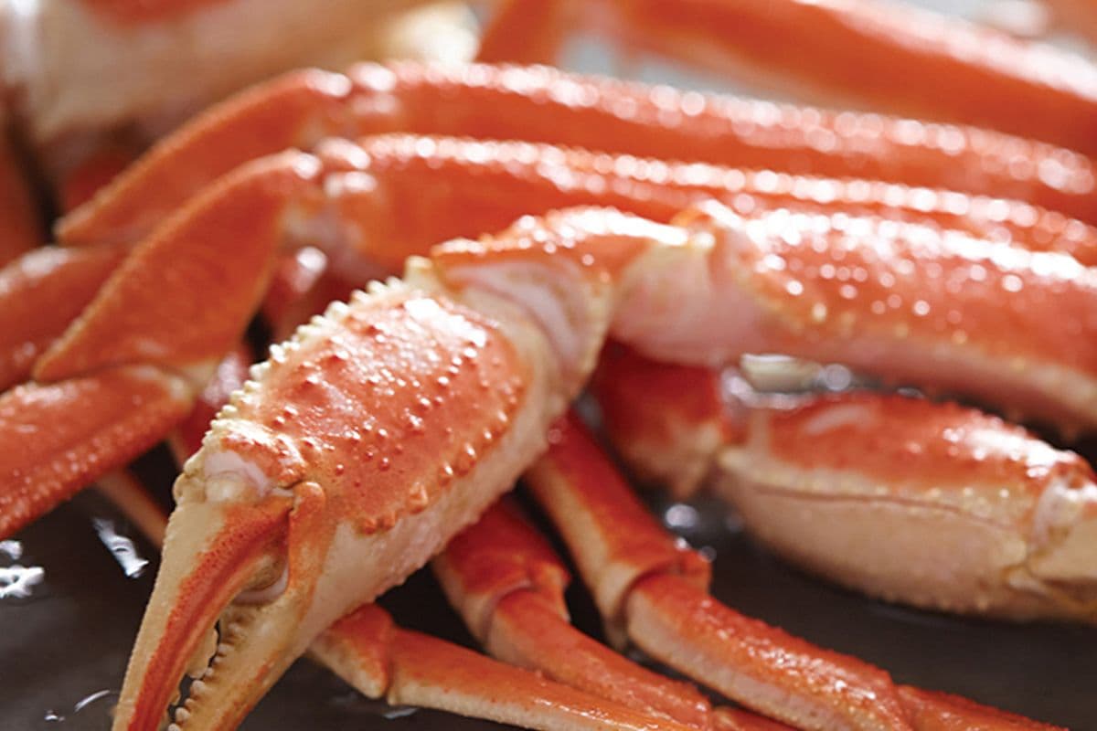 Snow Crab Legs (one cluster)