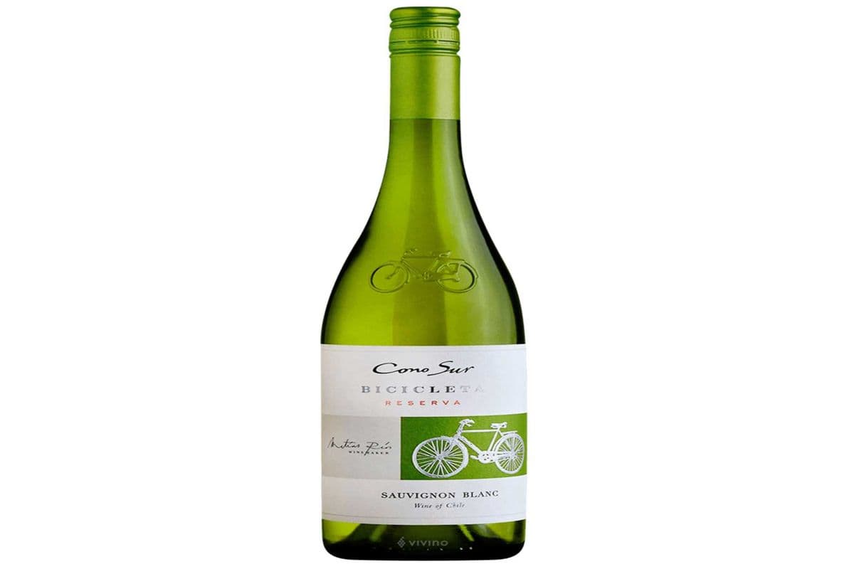 Cono Sur Sauvignon Blanc (1 x 750ML)