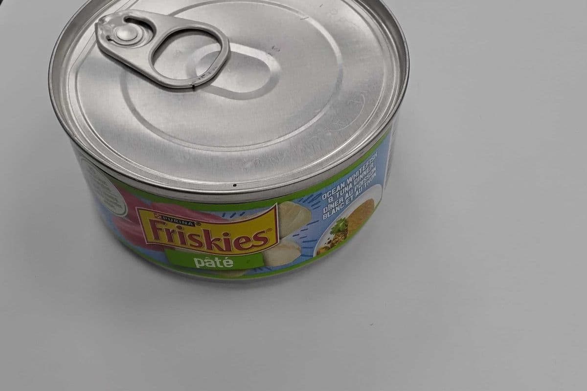Friskies pate ocean whitefish & tuna dinner (156g)