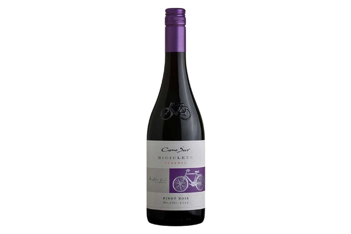 Cono Sur Pinot Noir (Chile) (1 x 750 ml)