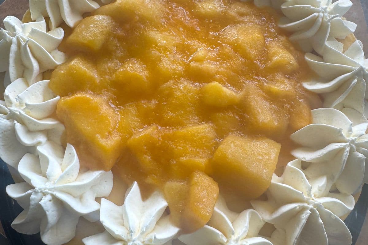 Mango Ice Cream Cake WHOLE