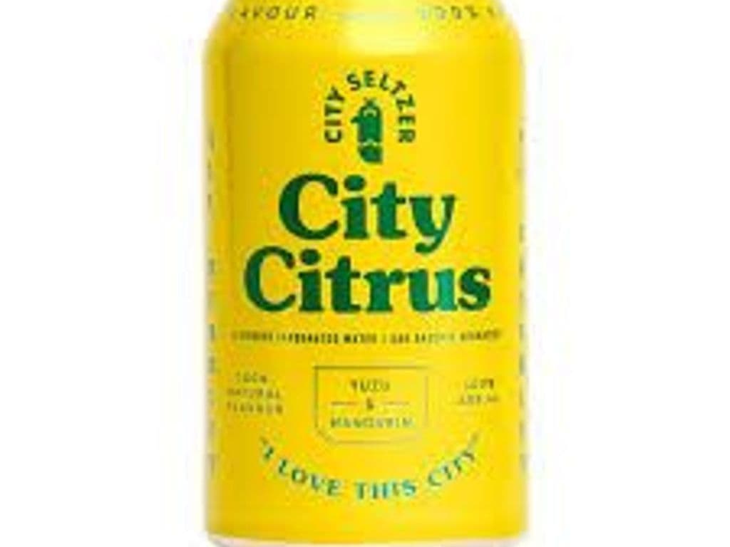 CITY SELTZER CITY CITRUS 355ML