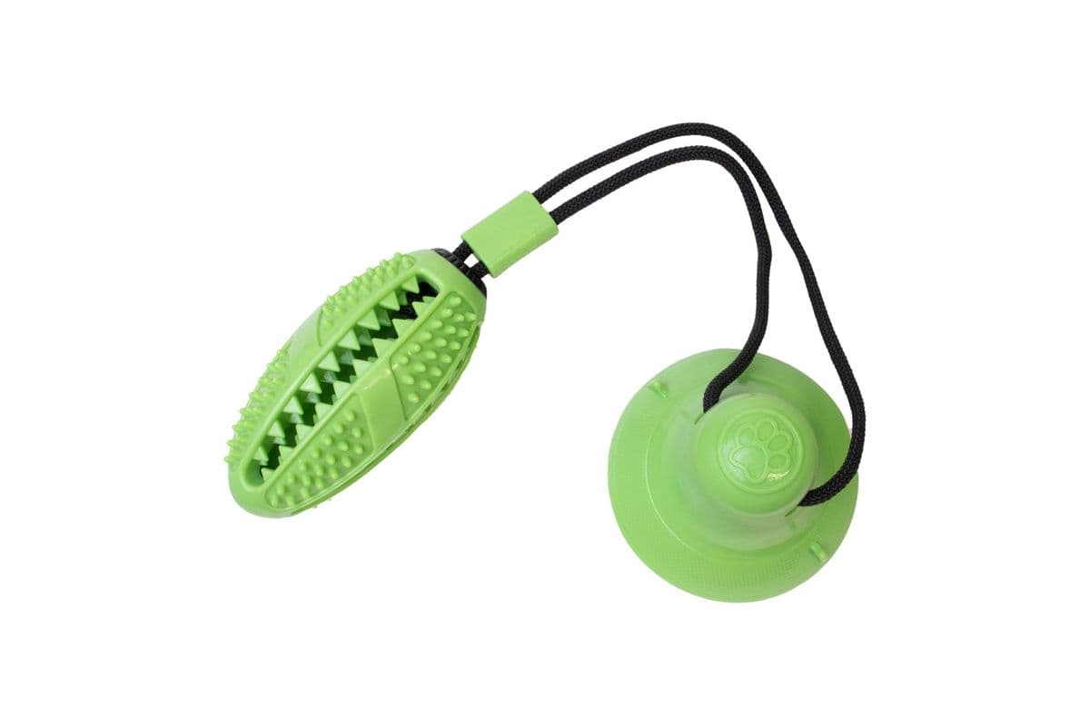 Pampered Pal Dog Toy Suction Cup Tug Green