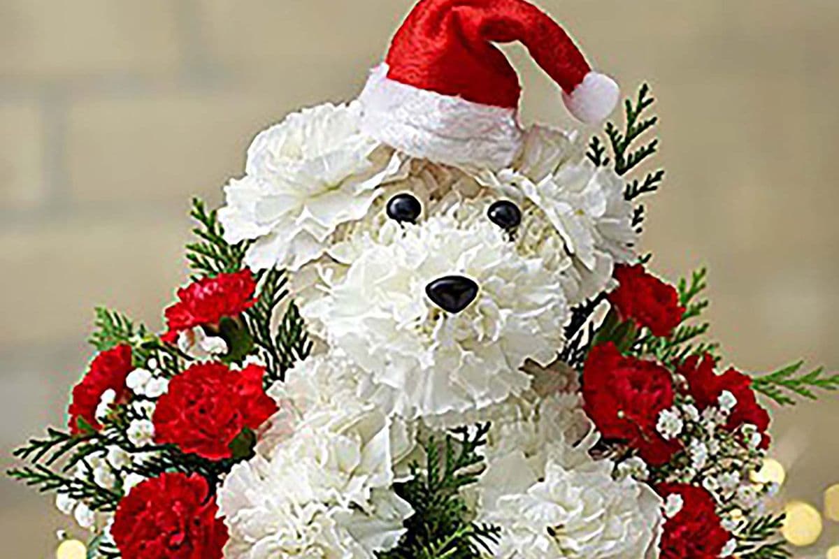 Santa Paws