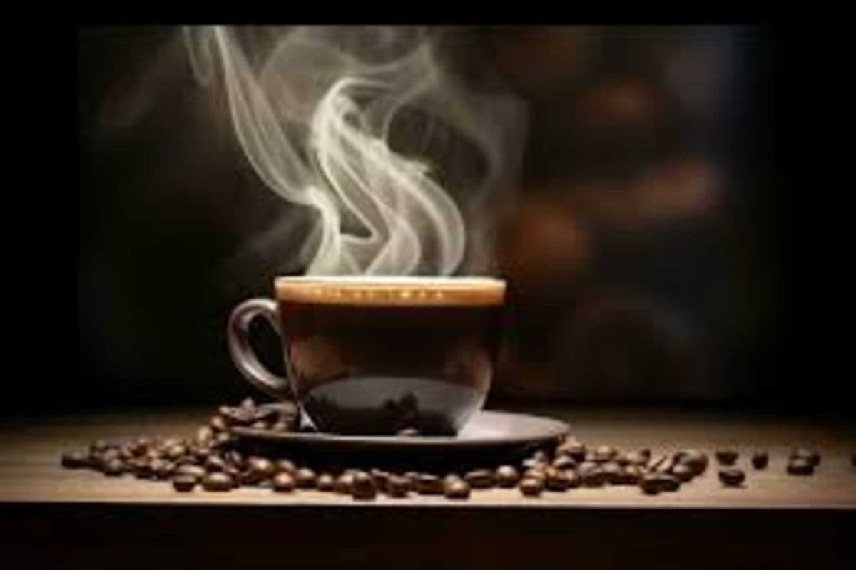 Premium Coffee (12 oz)