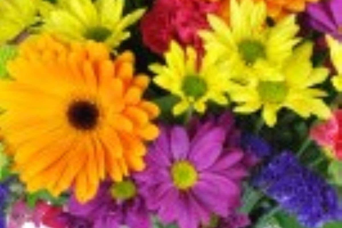 Summer Stunners - Artist's Choice Hand Tied Bouquet $89.95 - Vase add on available