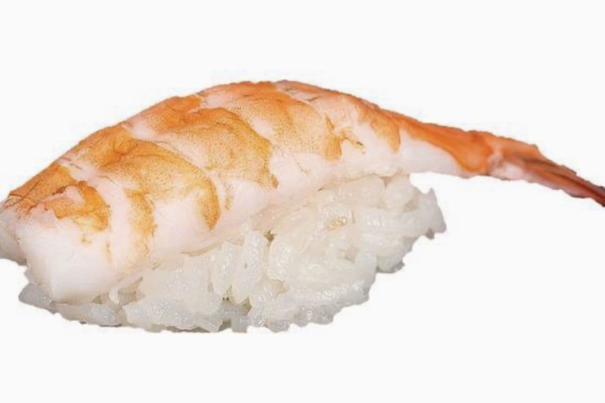 Shrimp