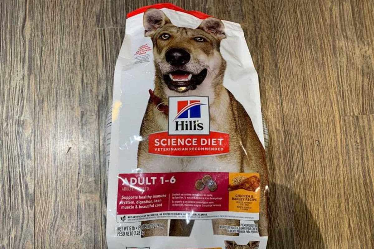 Hills | Canine | Dry | Adult 1-6 | Chicken | 5lbs
