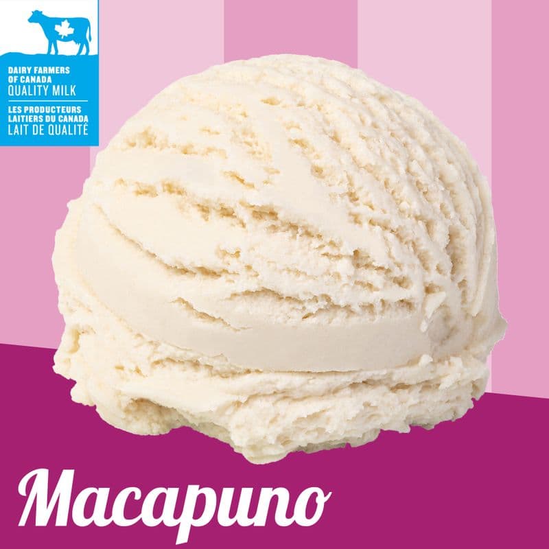 Macapuno Ice Cream (5.7 L)