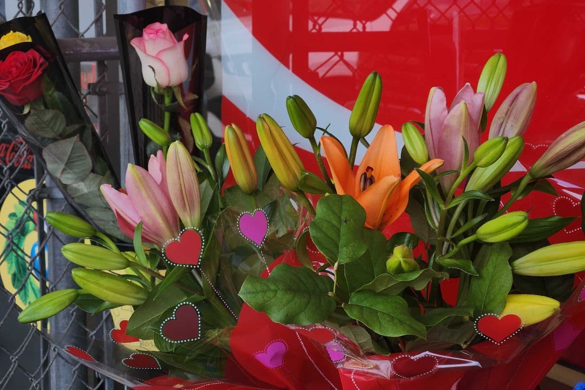 Lilies