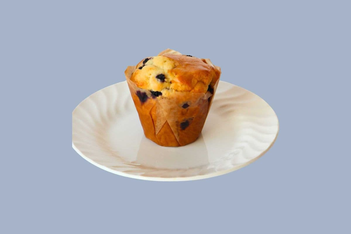 Blueberry Muffin