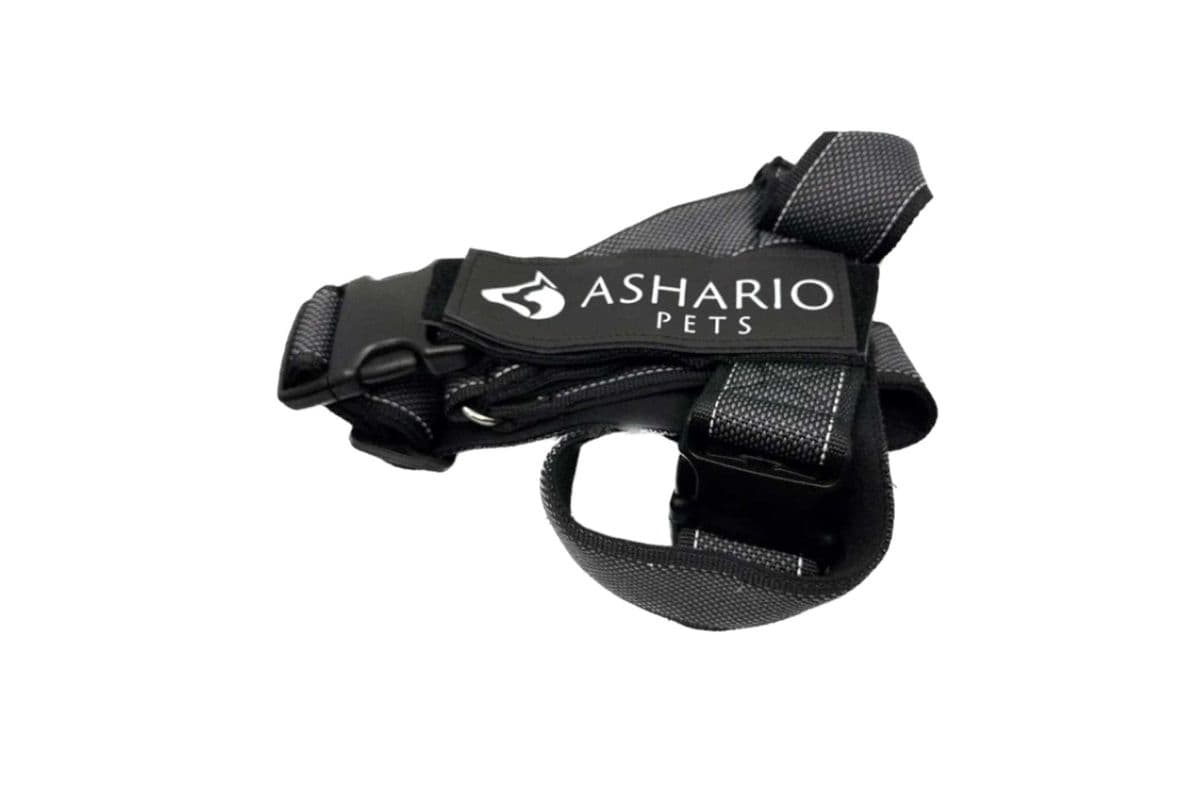 Ashario Pets "BreezyVest" Summer Lightweight Reflective Harness - Black - M (M)