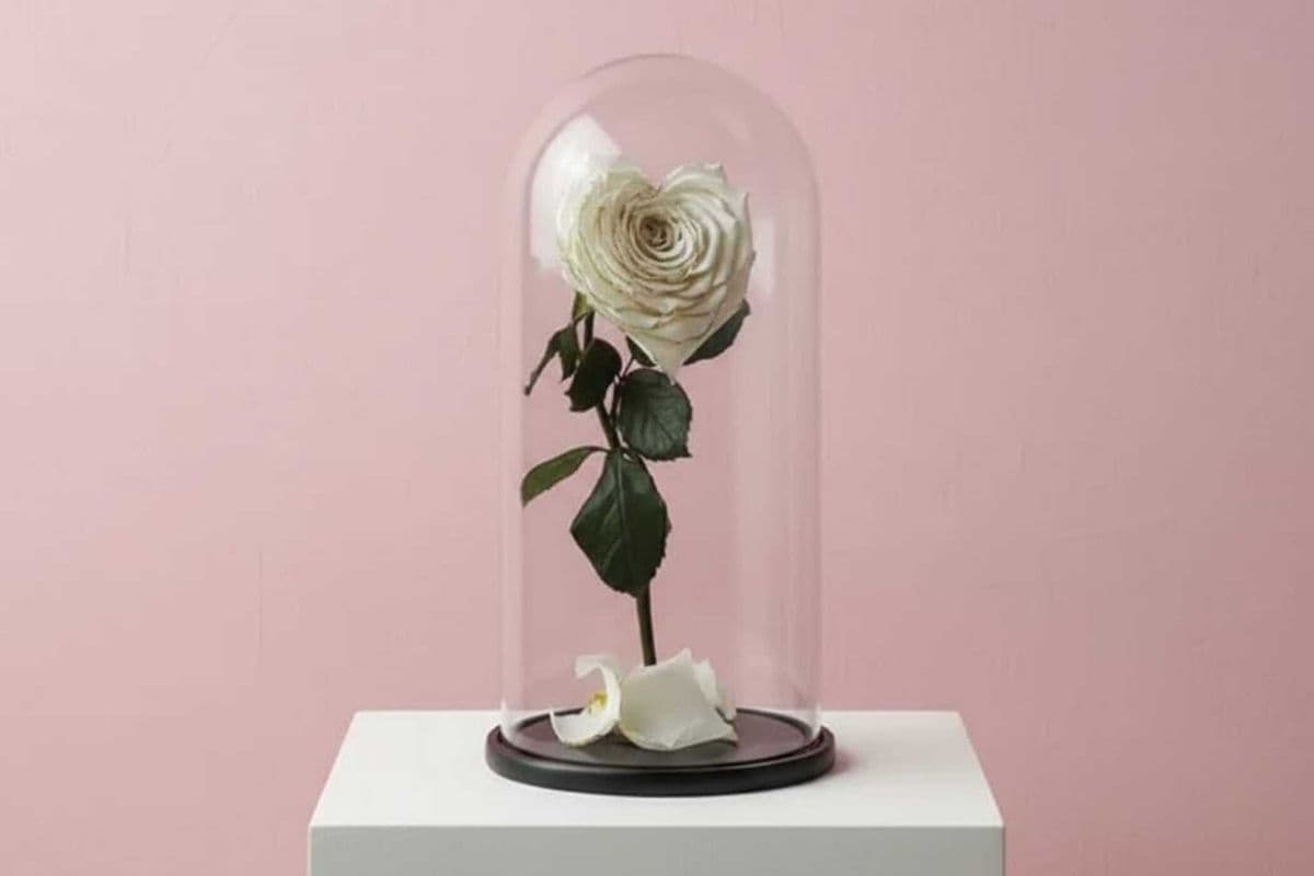 Preserved Heart White Gold Rose