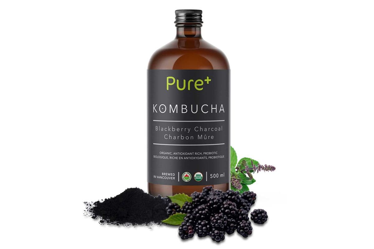 Pure Blackberry Charcoal Kombucha Tea