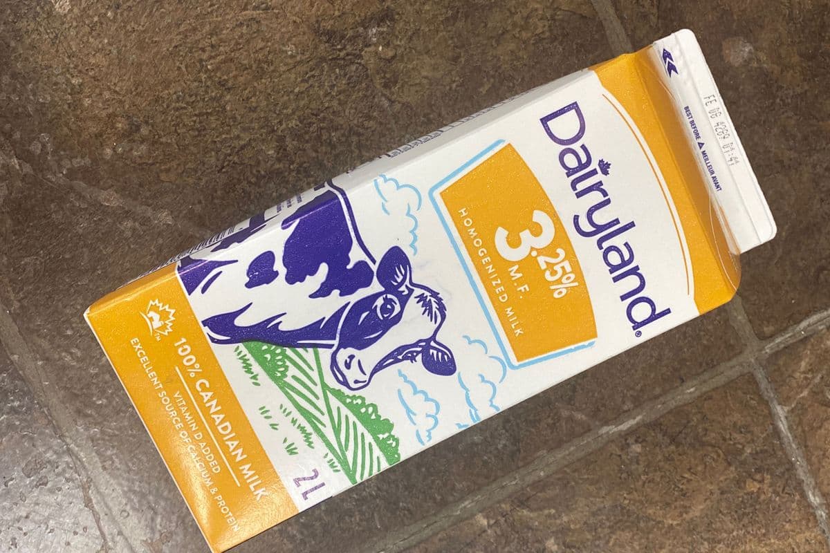 Dairyland Milk 3.25% (2 L) (2L)