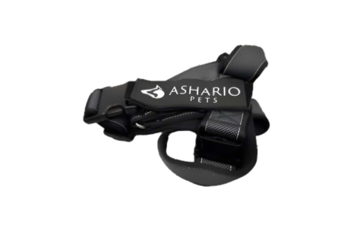 Ashario Pets - "BreezyVest" Summer Lightweight Reflective Harness - Black - L (L)