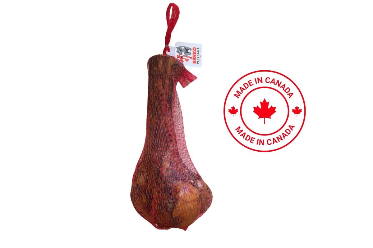 Benko Mini Dino Dog Treat