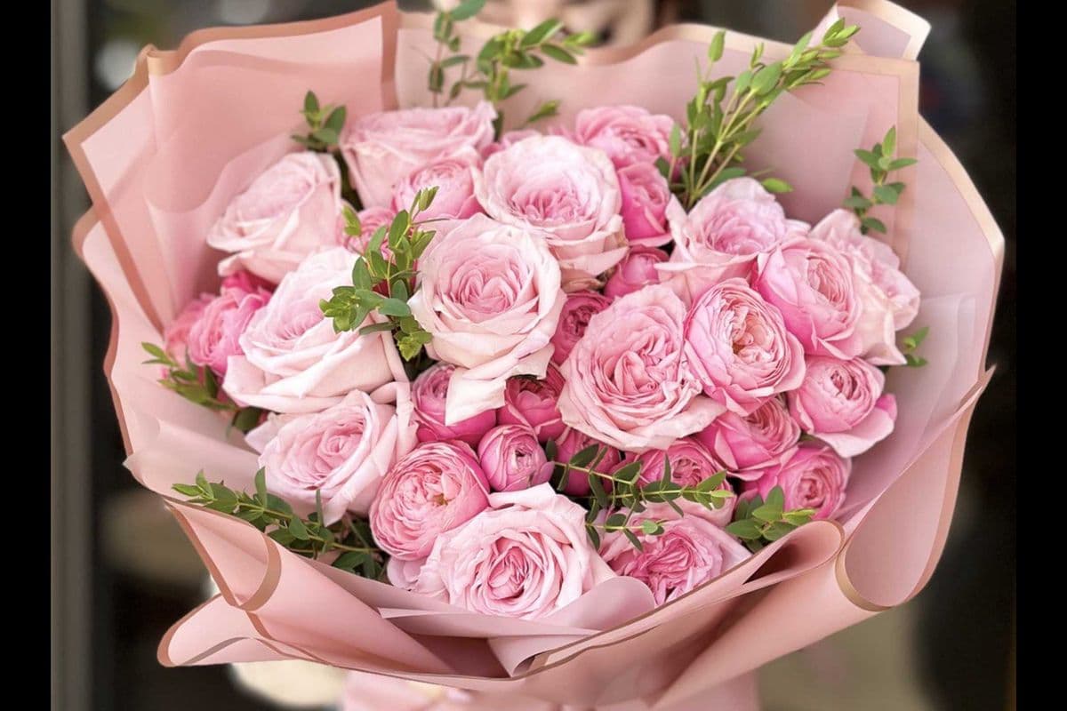 Roses Paradise
