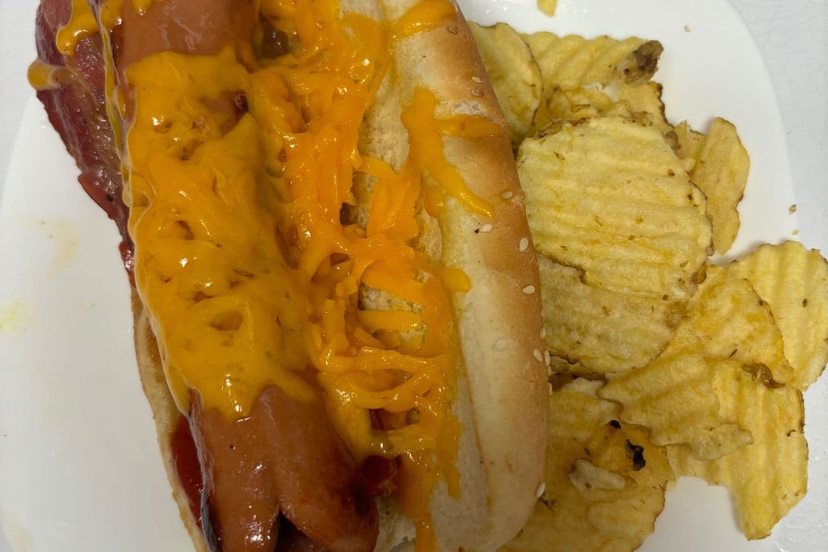 Bacon Cheese Dog