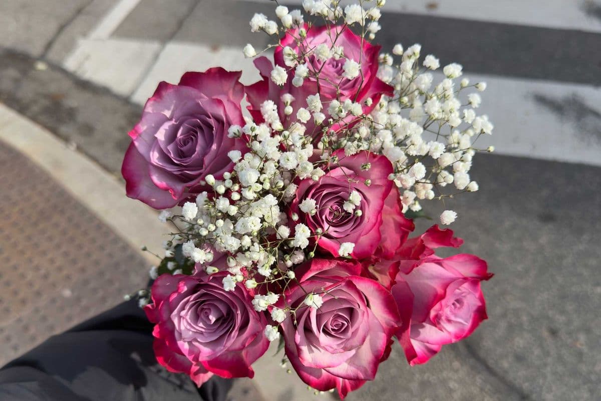 Purple Roses - 6 Stems