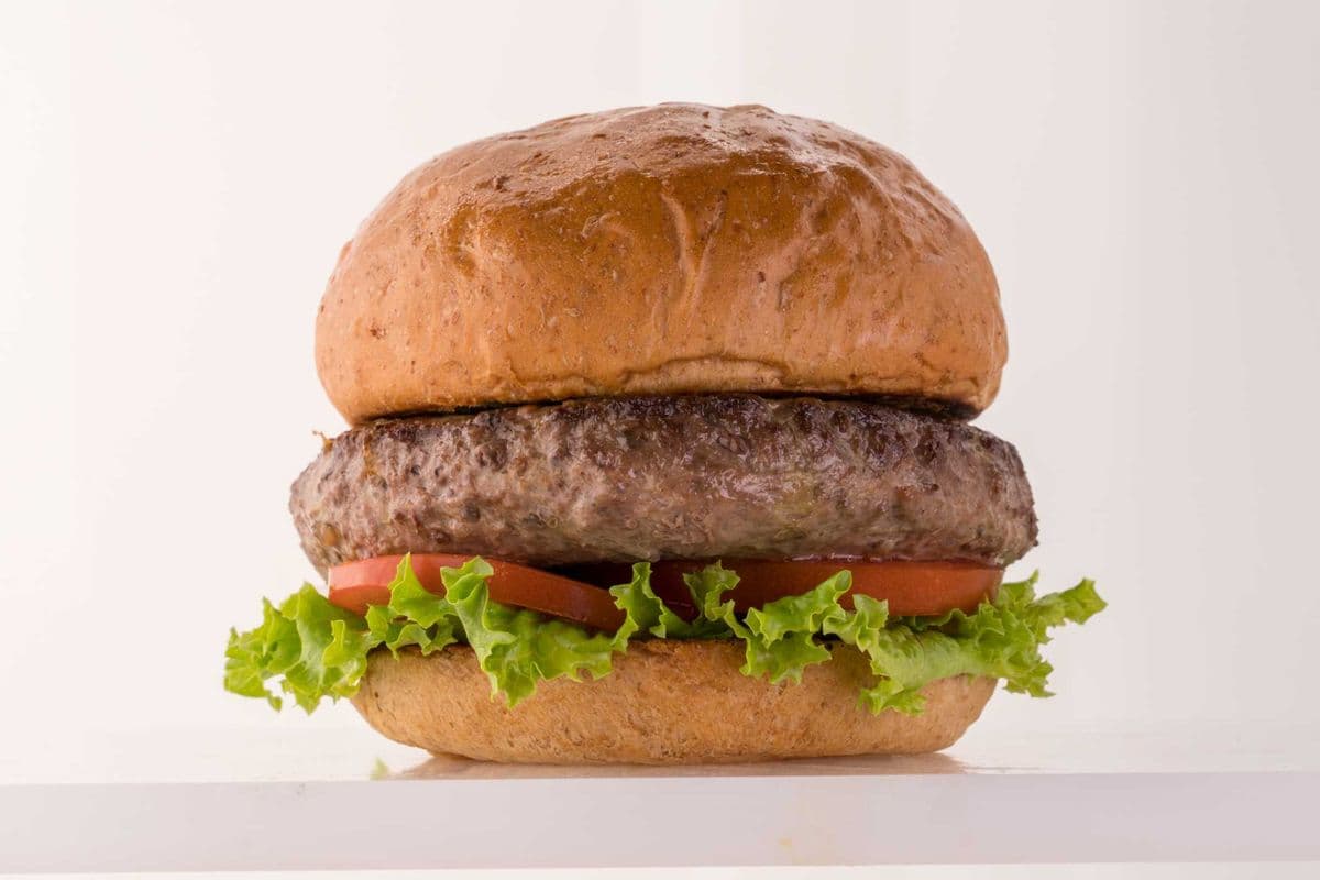 Elk Burger