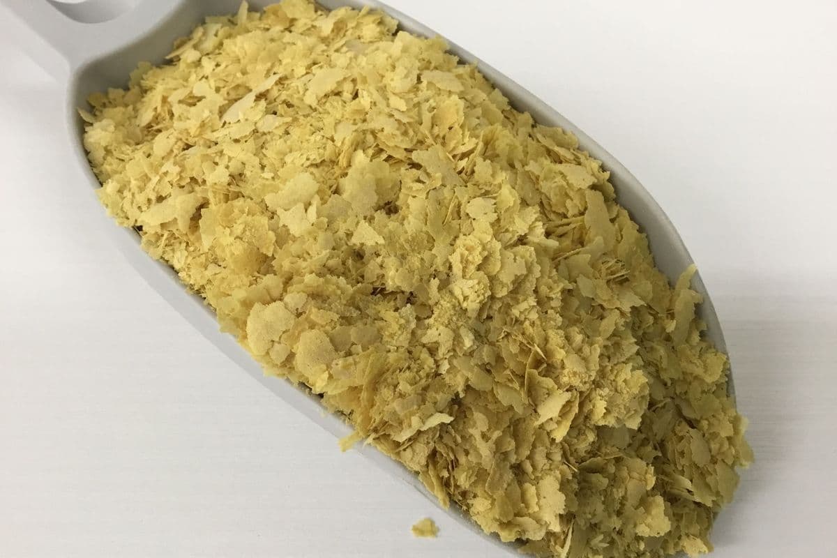 Nutritional Yeast (1 Cup/48 g)