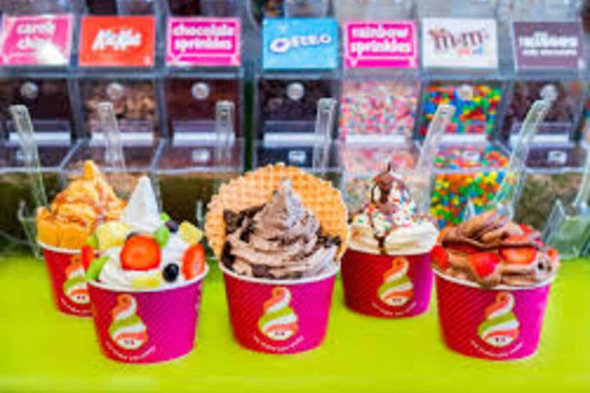 Frozen Yogurt (Large 32 oz)