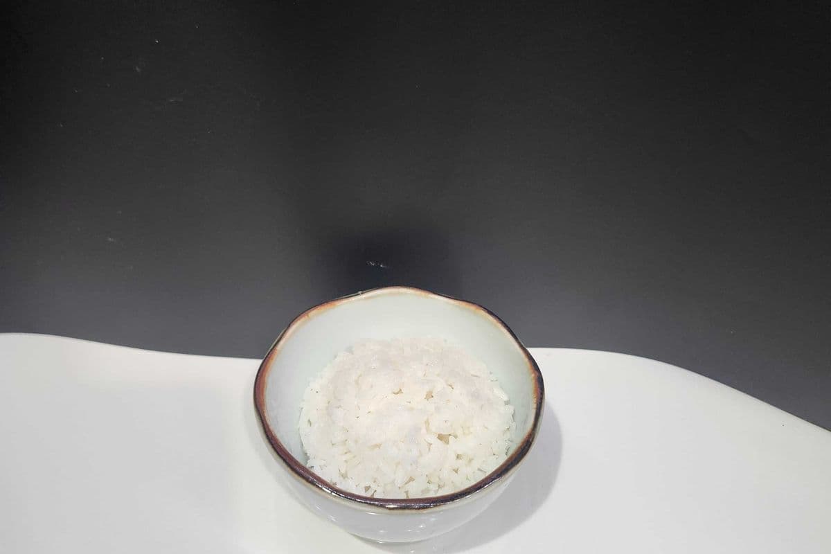 Rice