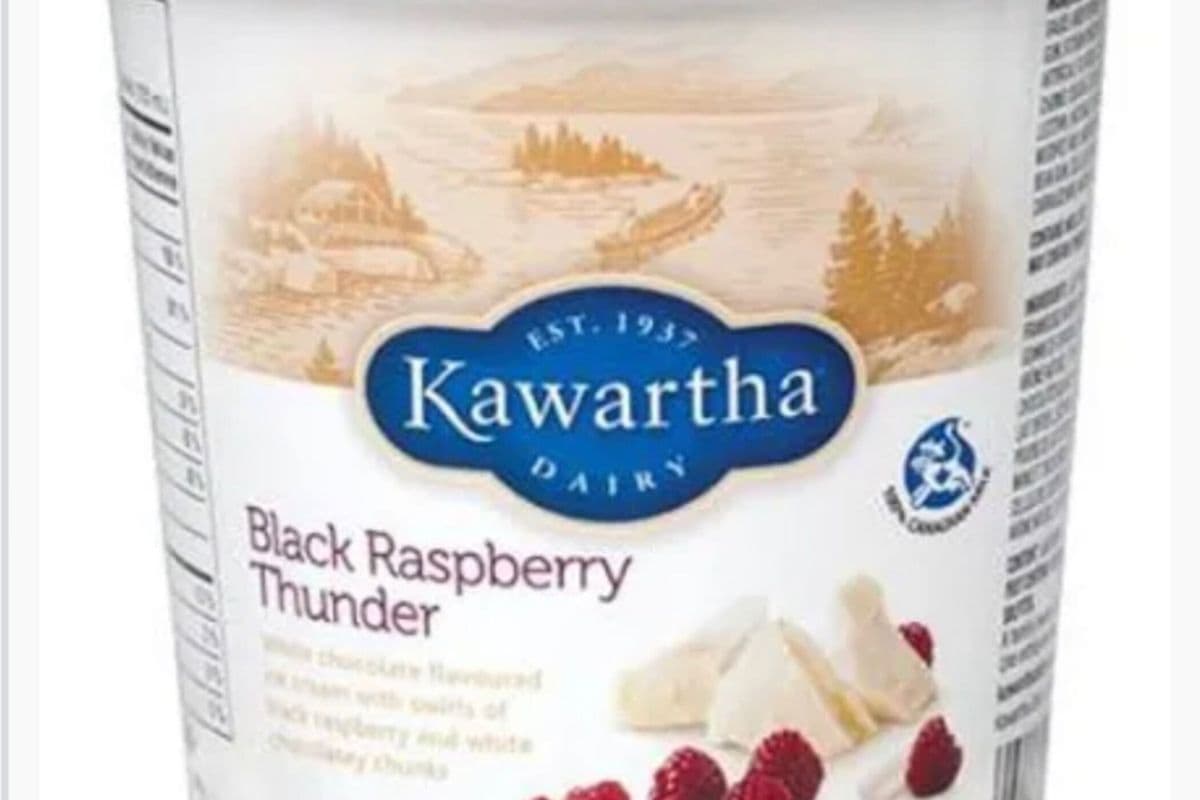 Kawartha Dairy Ice Cream Black Raspberry Thunder (500 ml )