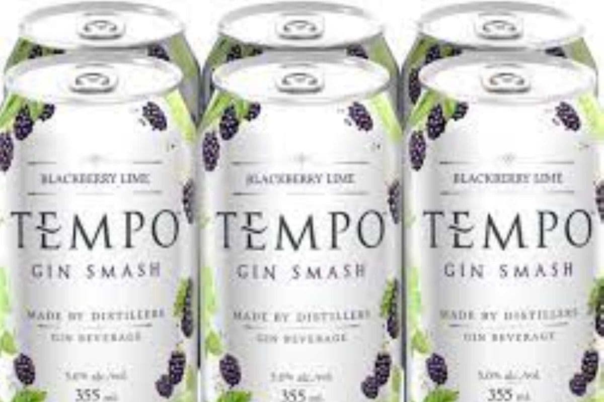 Tempo Gin Smash Blackberry Lime (1 x 6 Cans)