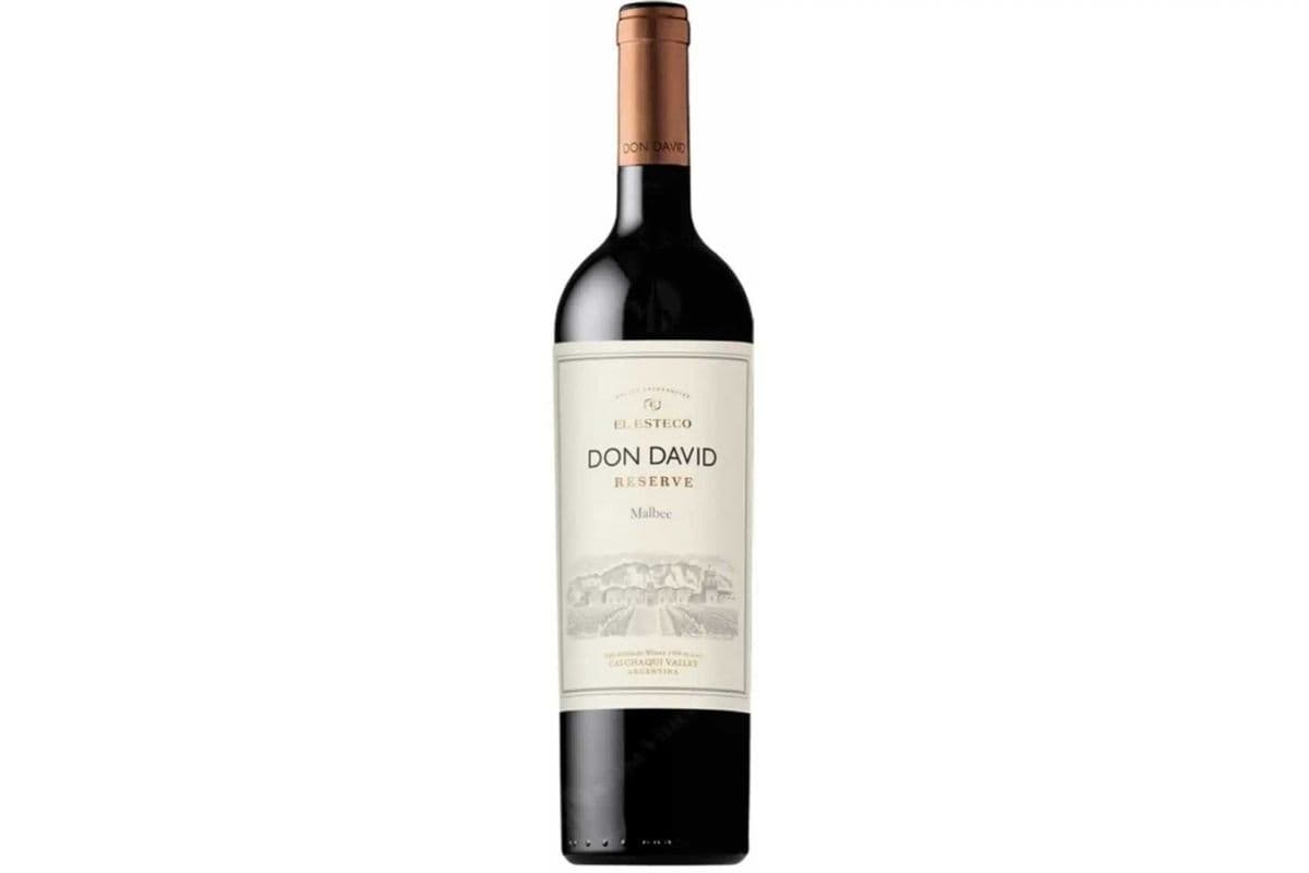 Torino Don David Malbec Reserve (1 x 750ml)
