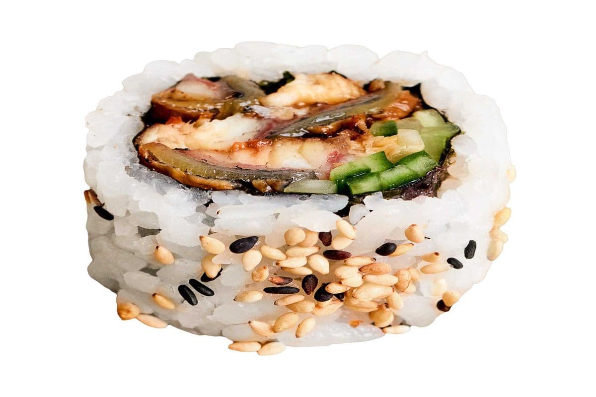 The Unagi