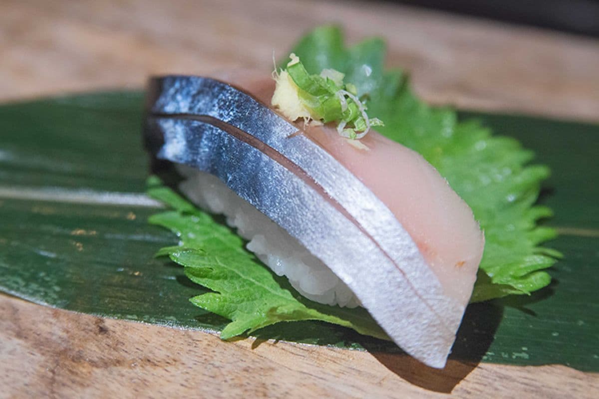 Saba (Mackerel)