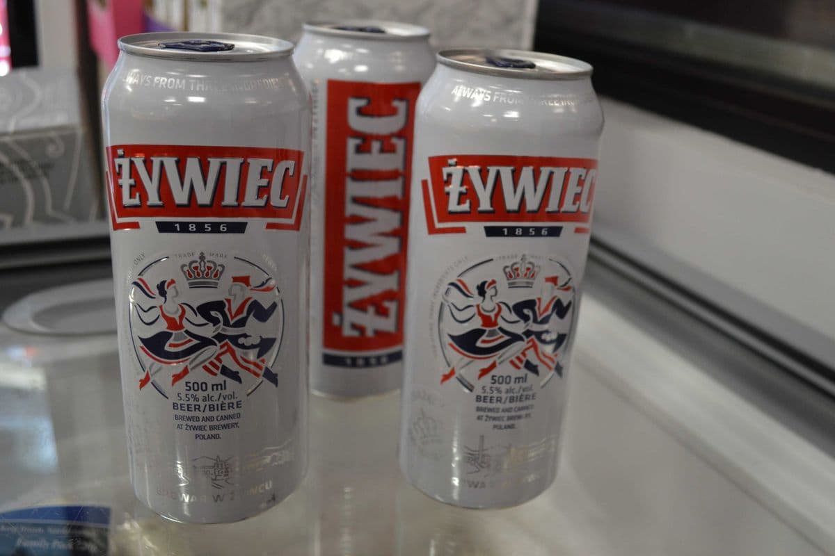 Zywiec Polish Beer (500 ml) (1 x 500ml)