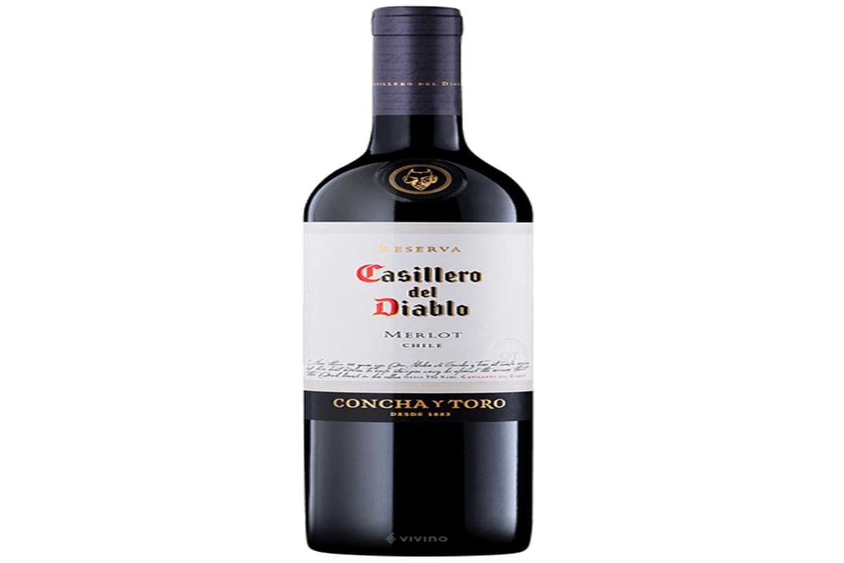Casillero del Diablo Merlot (1 x 750 ml)