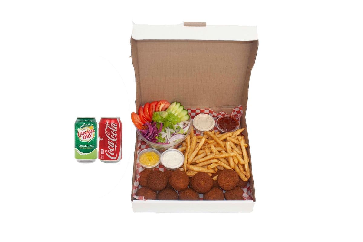 Falafel Combo