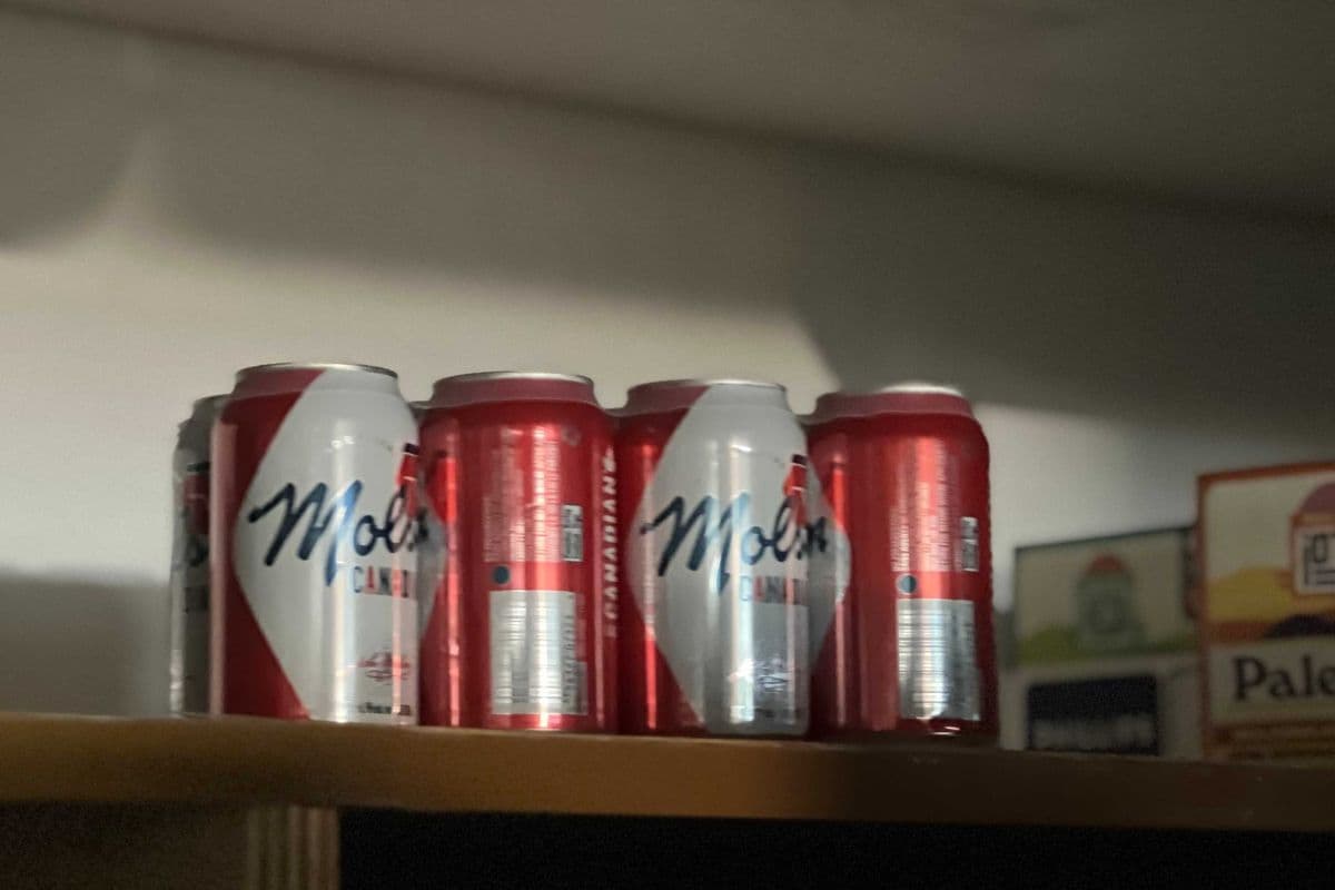 Canadian (8 Pack) (1 x 355 ml Cans)