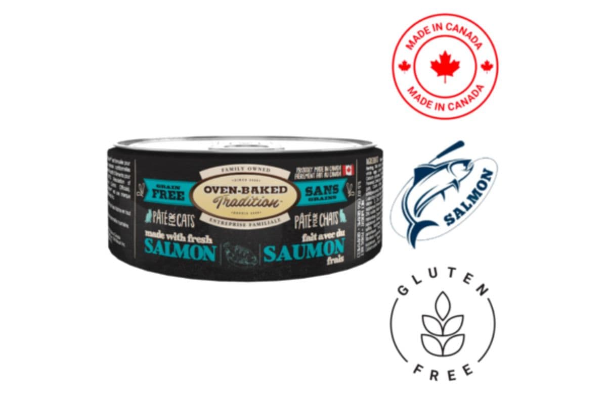 Oven-Baked Tradition Grain-Free Salmon Pate Wet Cat Food (5.5 oz)