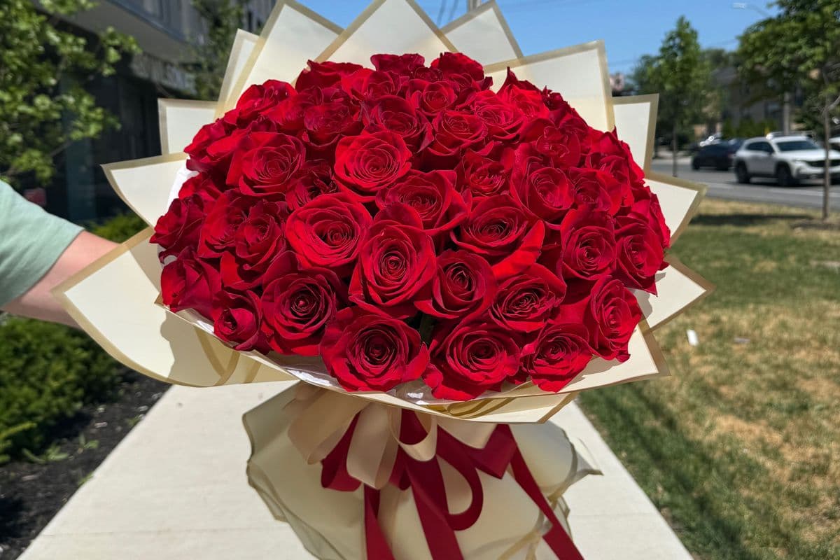 Scarlet Embrace - 50 Red Roses