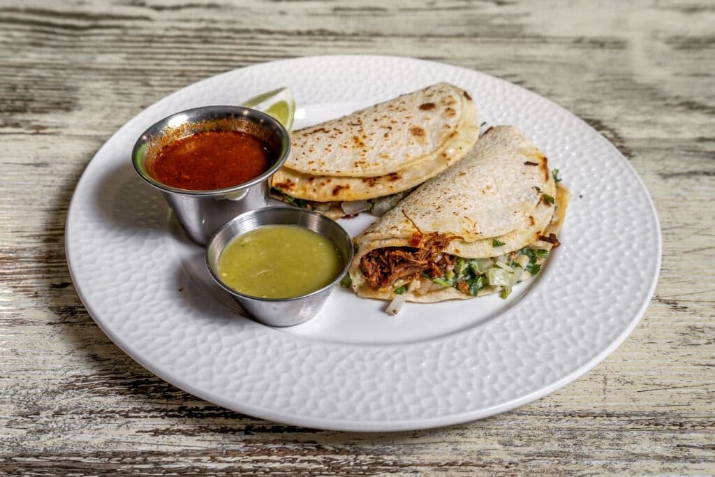 Birria Taco