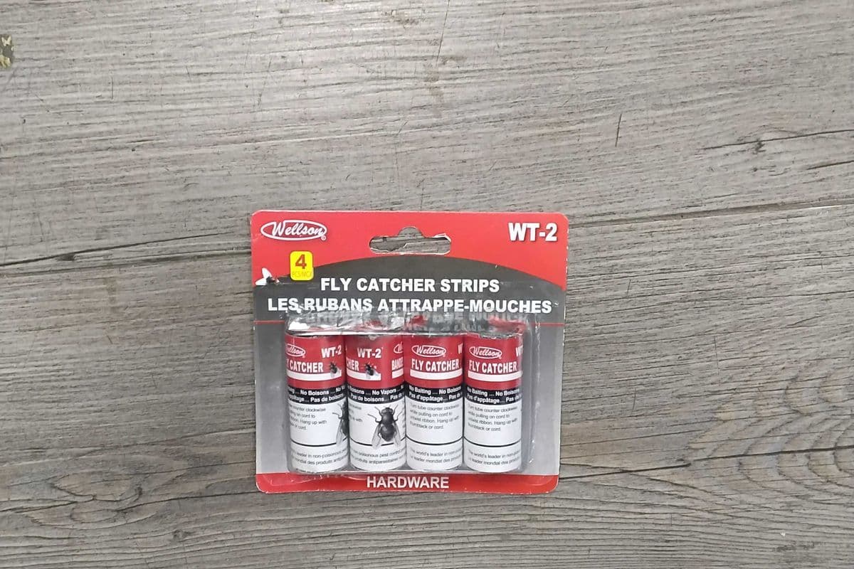 4 Fly catcher strip.