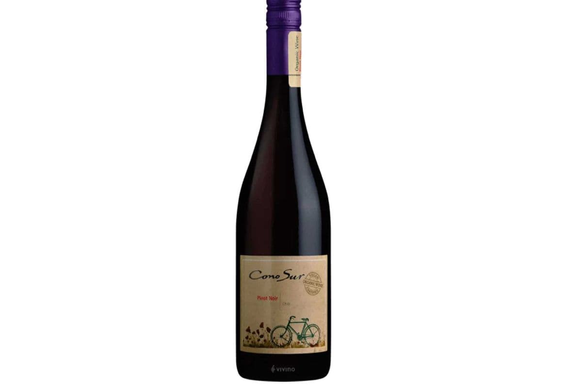 Cono Sur Organic Pinot Noir (1 x 750 ml)
